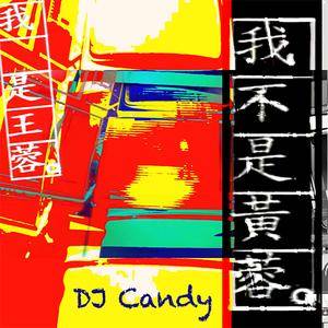 我不是黄蓉 (DJcandy Mix)